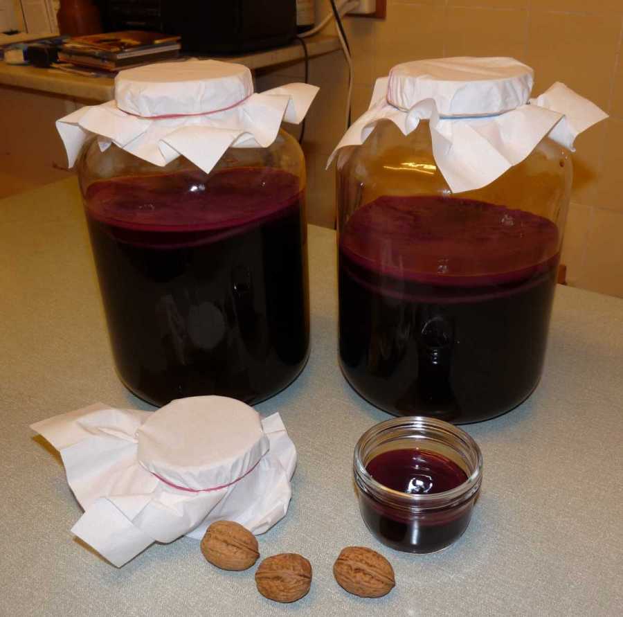  Quatre Bocaux de Kombucha au jus de raisins rouges (cliquez pour revenir) 