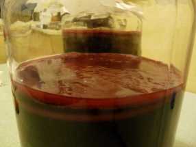 Grands bocaux Kombucha raisins rouges